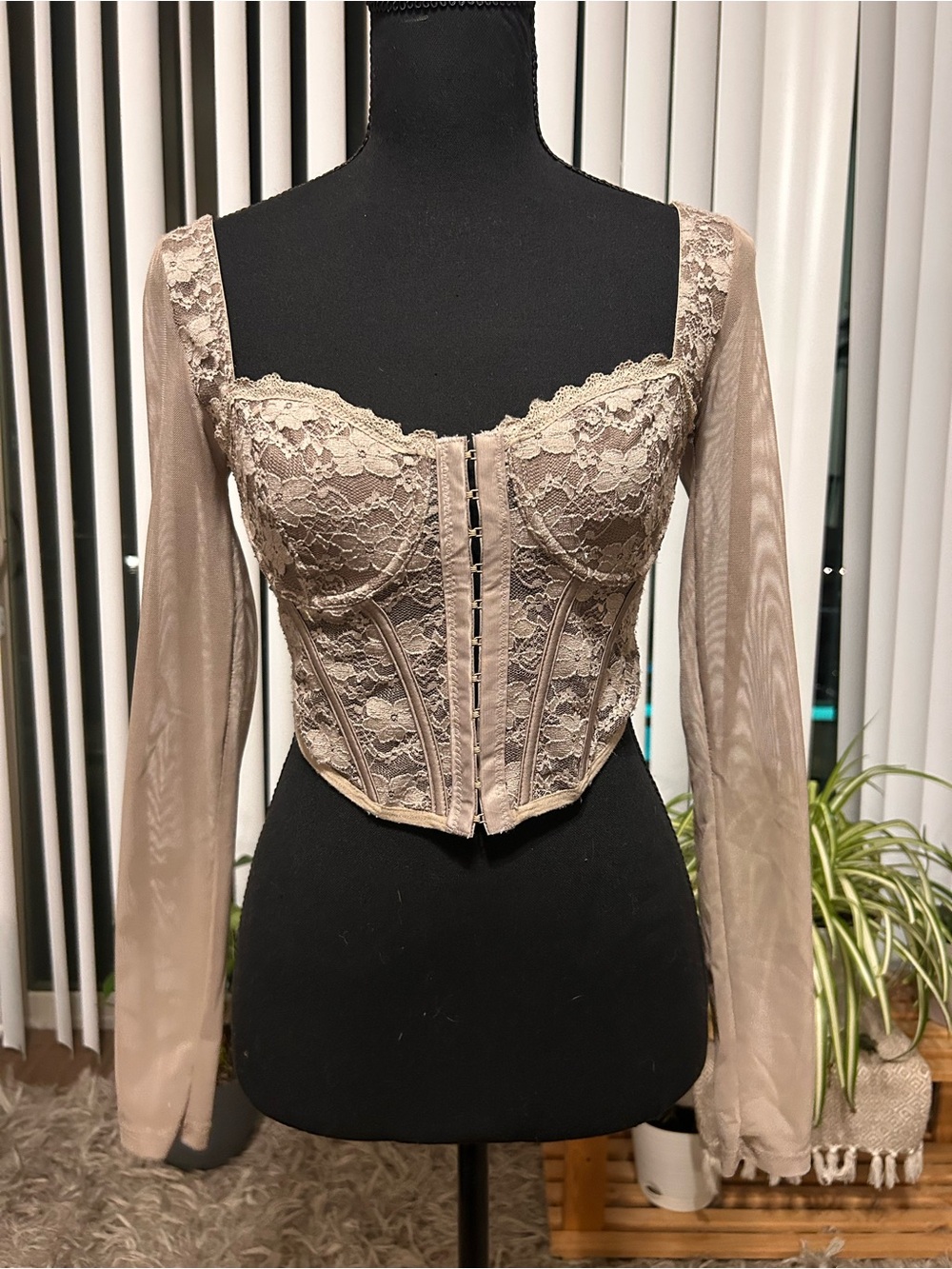 Charlotte Russe Taupe Lace Corset Top with Sheer Long Sleeves